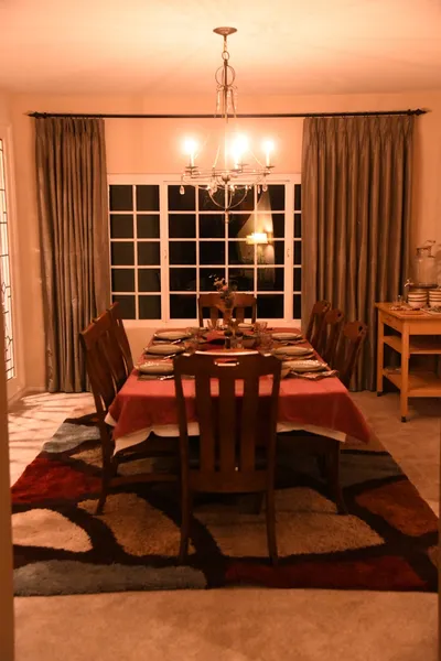 DSC_0381 (Large).JPG